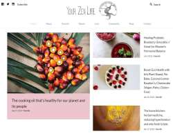 Along with her friend Teresa Palmer, she launched Along with her friend Teresa Palmer, she launched a health website called YourZenLife in 2012. Later in June 2015, she stated she was stepping down fr